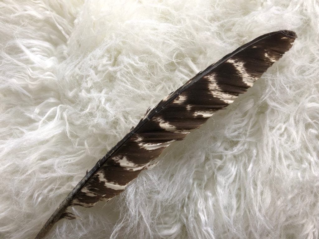 A brown and white feather on a white shag rug. Next-Level Self-Care.