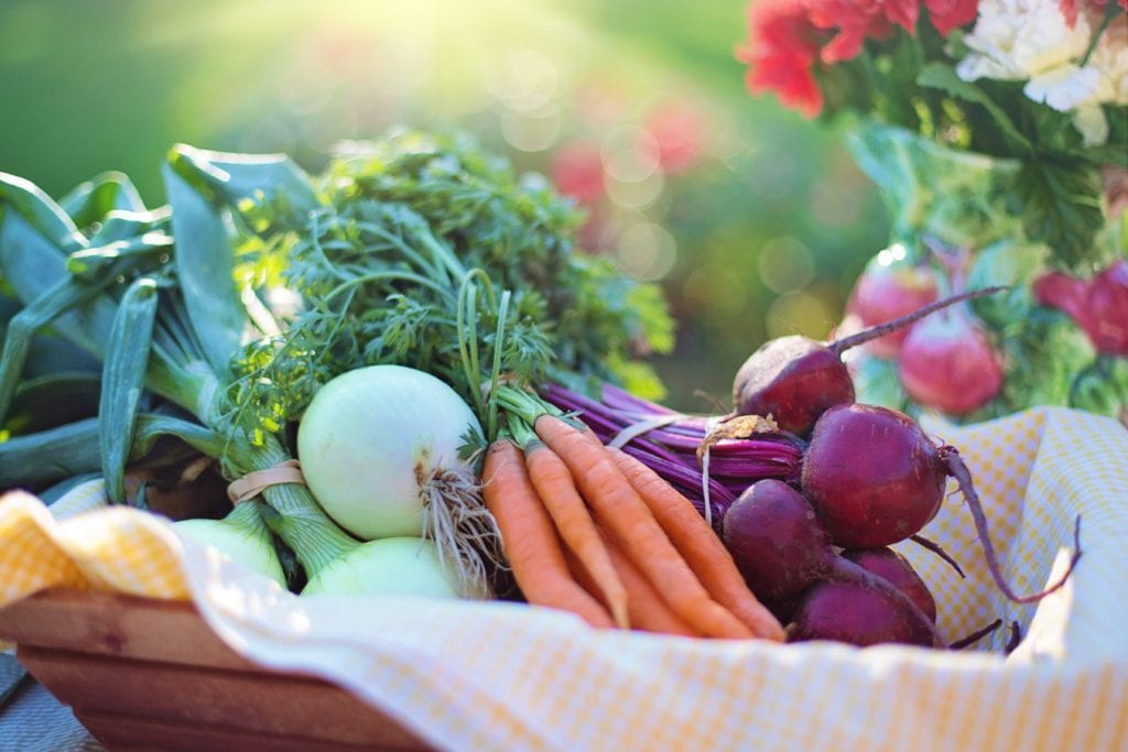 Treatments for Lyme Disease A basket of Vegetables