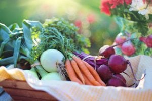 Treatments for Lyme Disease a basket of vegetables