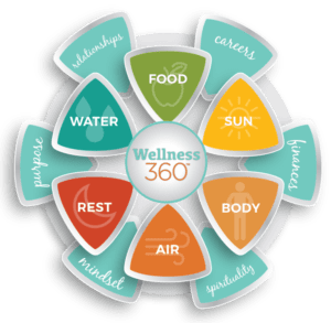 Wellness Wheel Wellness 360