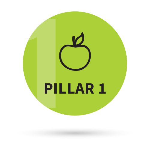 What is Holistic Health and What are Its Pillars? 3 Graphic of an apple with "Pillar 1" below it