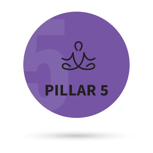 What is Holistic Health and What are Its Pillars? 7 Graphic of yoga with "Pillar 5" below it.