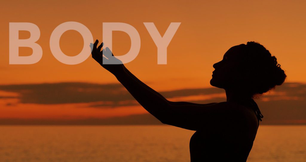What is Health and Wellness? Similarities & Important Differences 7 wellness body