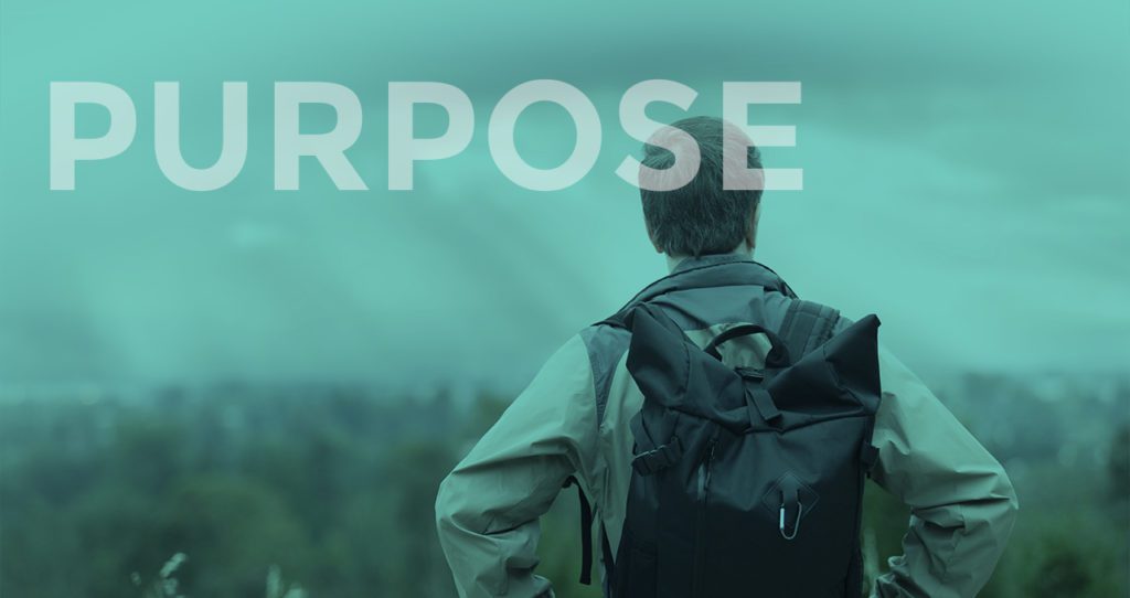 What is Health and Wellness? Similarities & Important Differences 18 wellness purpose