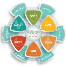 iawp-wellness-wheel-360 Wellness Wheel Wellness 360